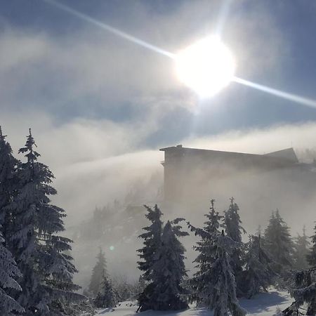 Apartman Medvedin 306 Špindlerŭv Mlýn Esterno foto