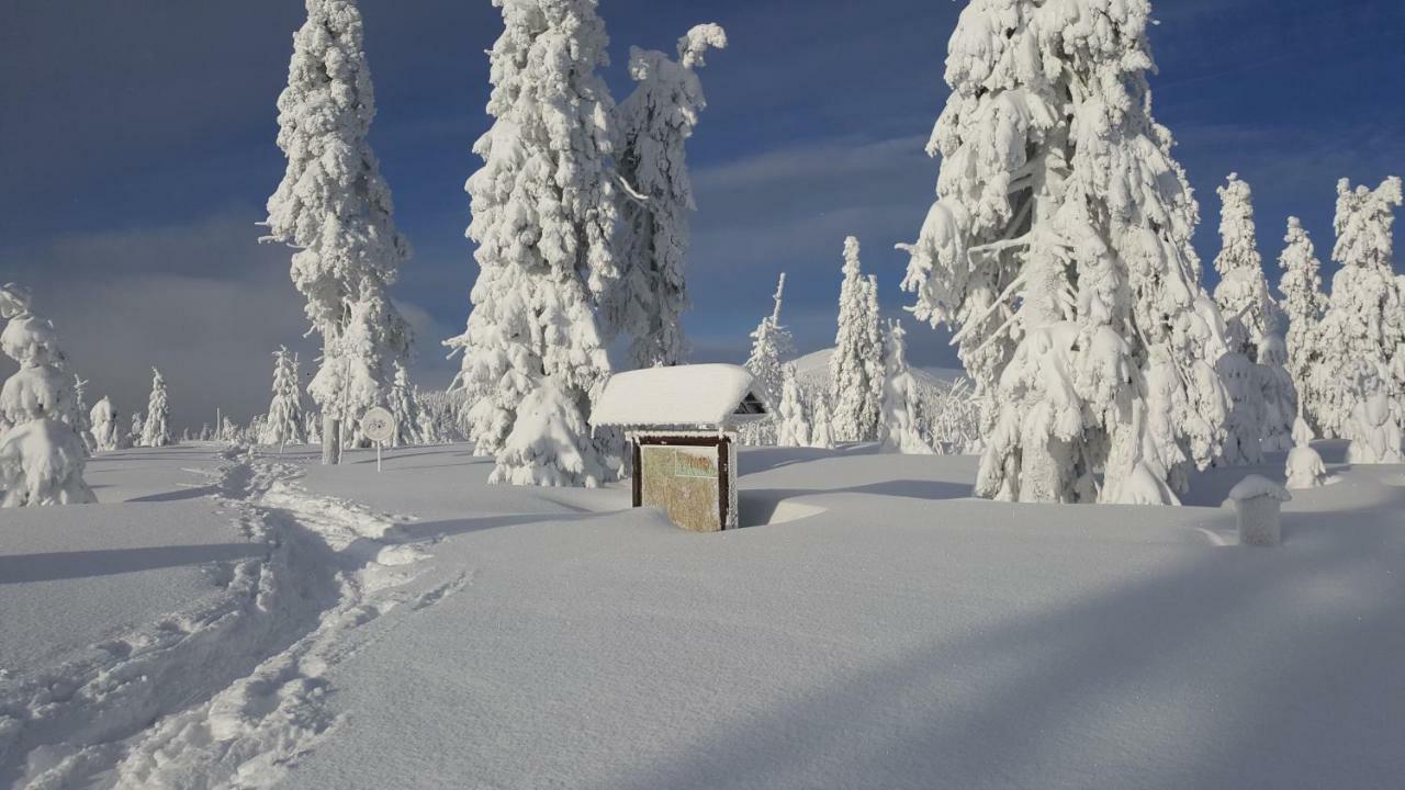 Apartman Medvedin 306 Špindlerŭv Mlýn Esterno foto