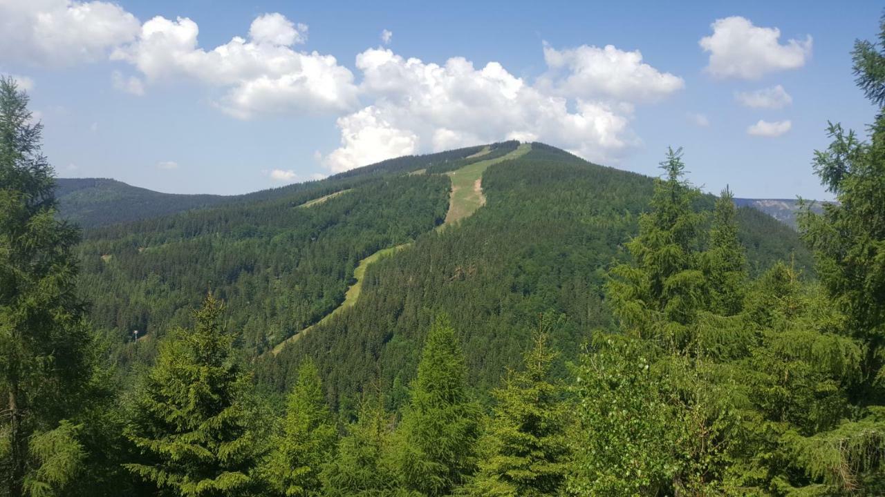 Apartman Medvedin 306 Špindlerŭv Mlýn Esterno foto